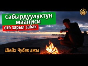 Сабырдуулуктун мааниси (өтө зарыл сабак). Шейх Чубак ажы