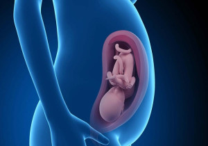 Үч  караңгылыкта бир жаратыштан  кийин, дагы бир жаратышта жаратуу